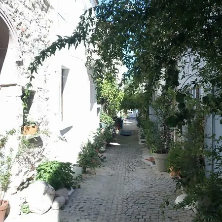 Ektenis Konuk Evi Affittacamere Ayvalı